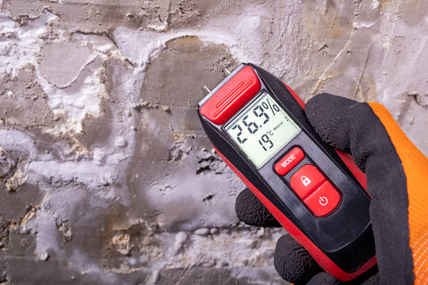 Best Emergency Mold Removal  in Black Diamond, WA